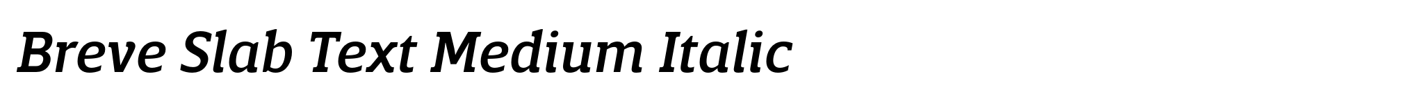 Breve Slab Text Medium Italic image